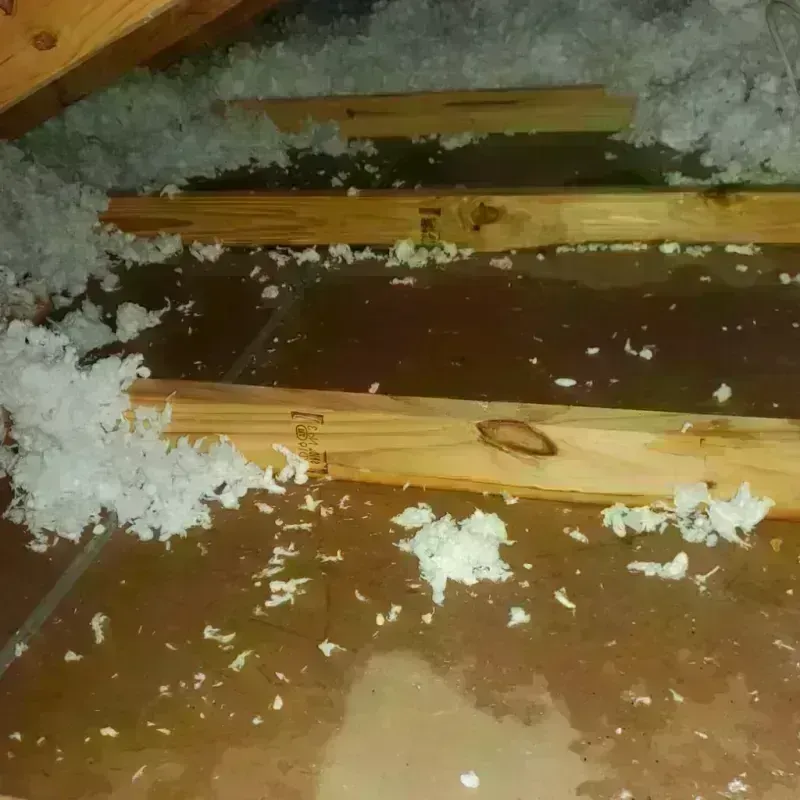 Attic Water Damage in McCullom Lake, IL