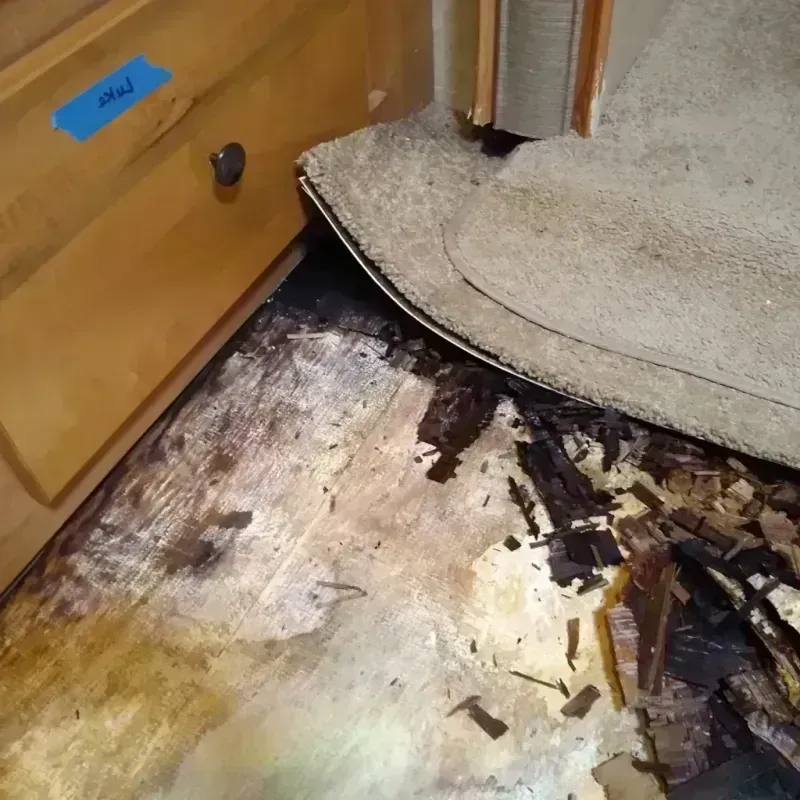 Wood Floor Water Damage in McCullom Lake, IL